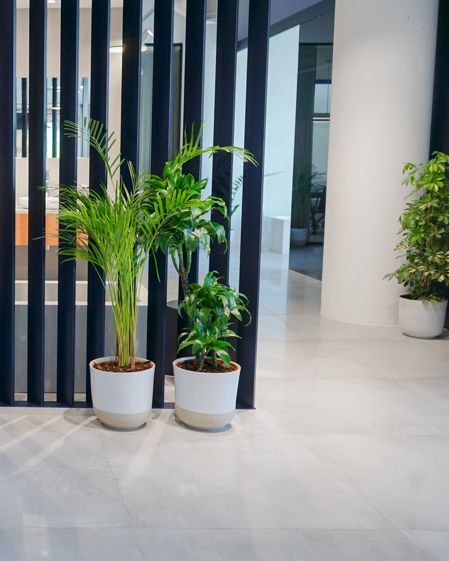 Showroom Verde na GROHE / Marvila