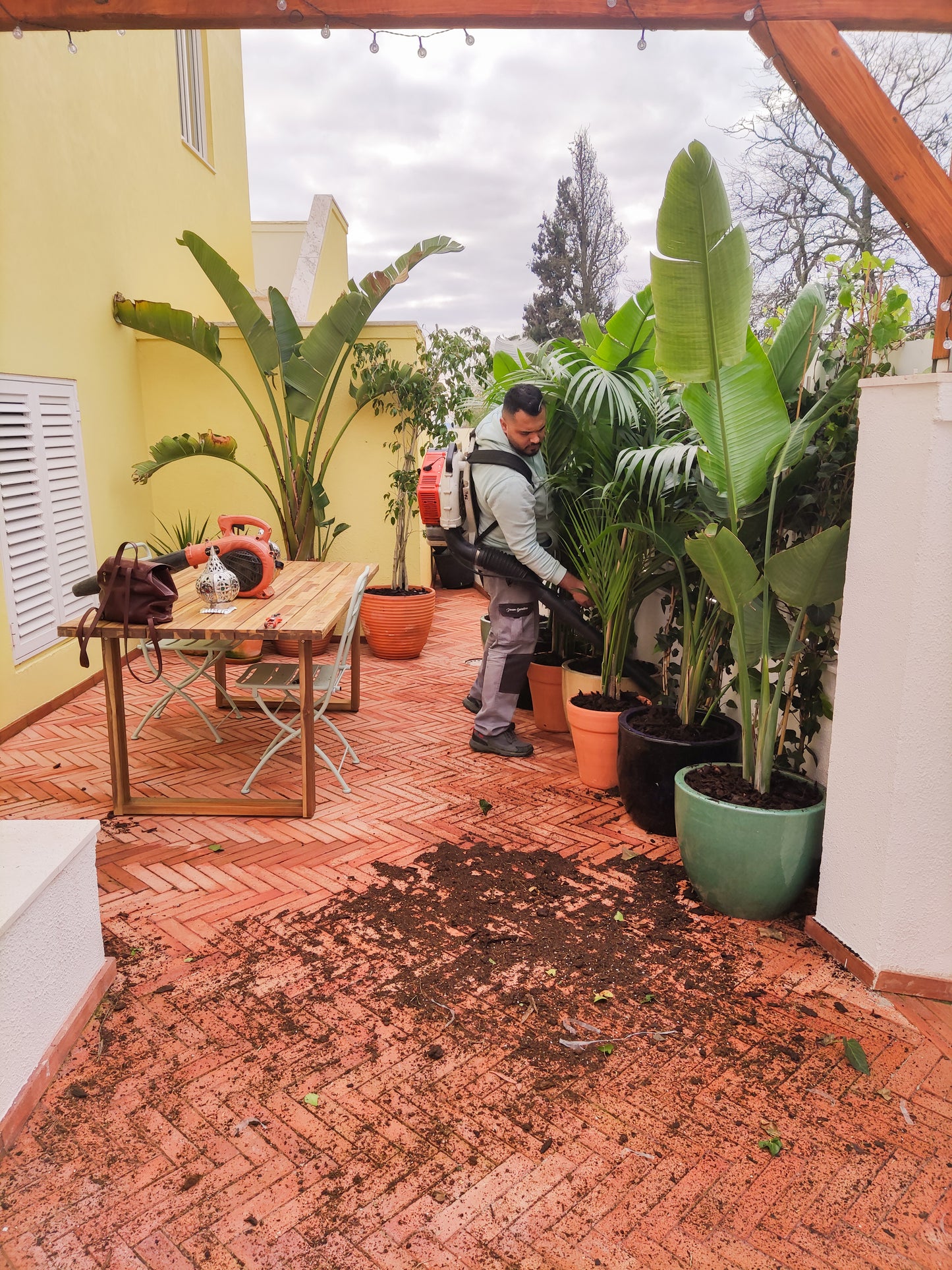Jardim Marroquino num Logradouro / Alvito