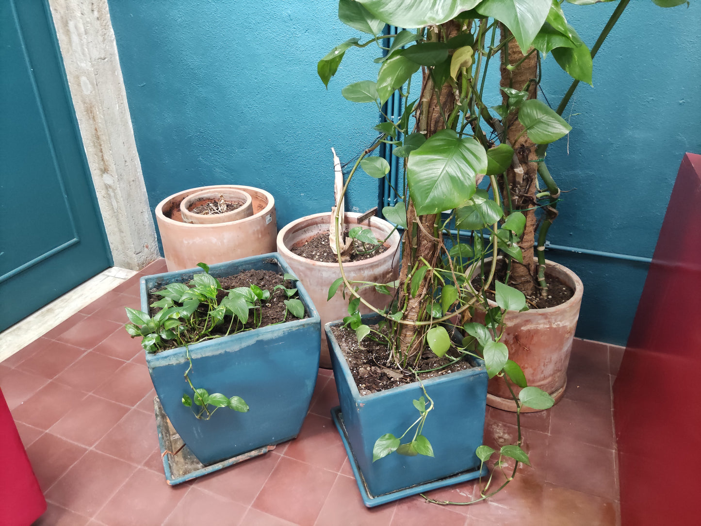 Hotel Biofílico / Esqina Cosmopolitan Lodge