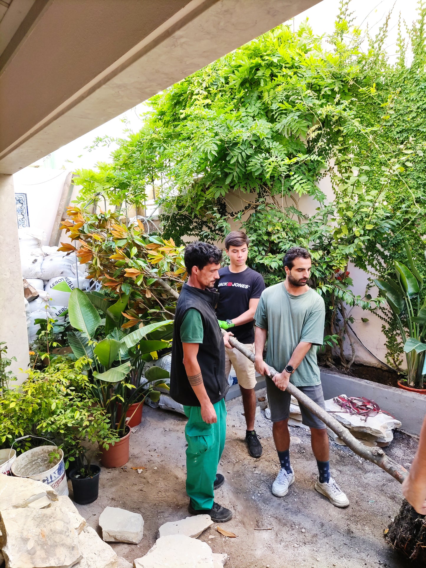 Um Oásis num Pátio Lisboeta / Lapa