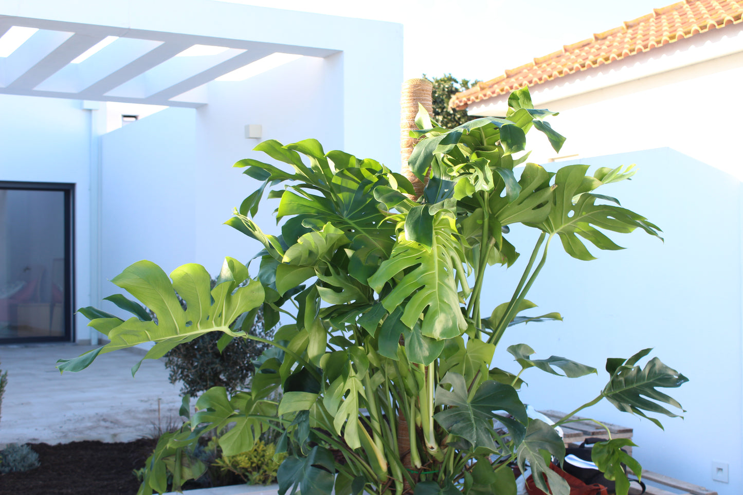 Moradia Residencial / Silveira