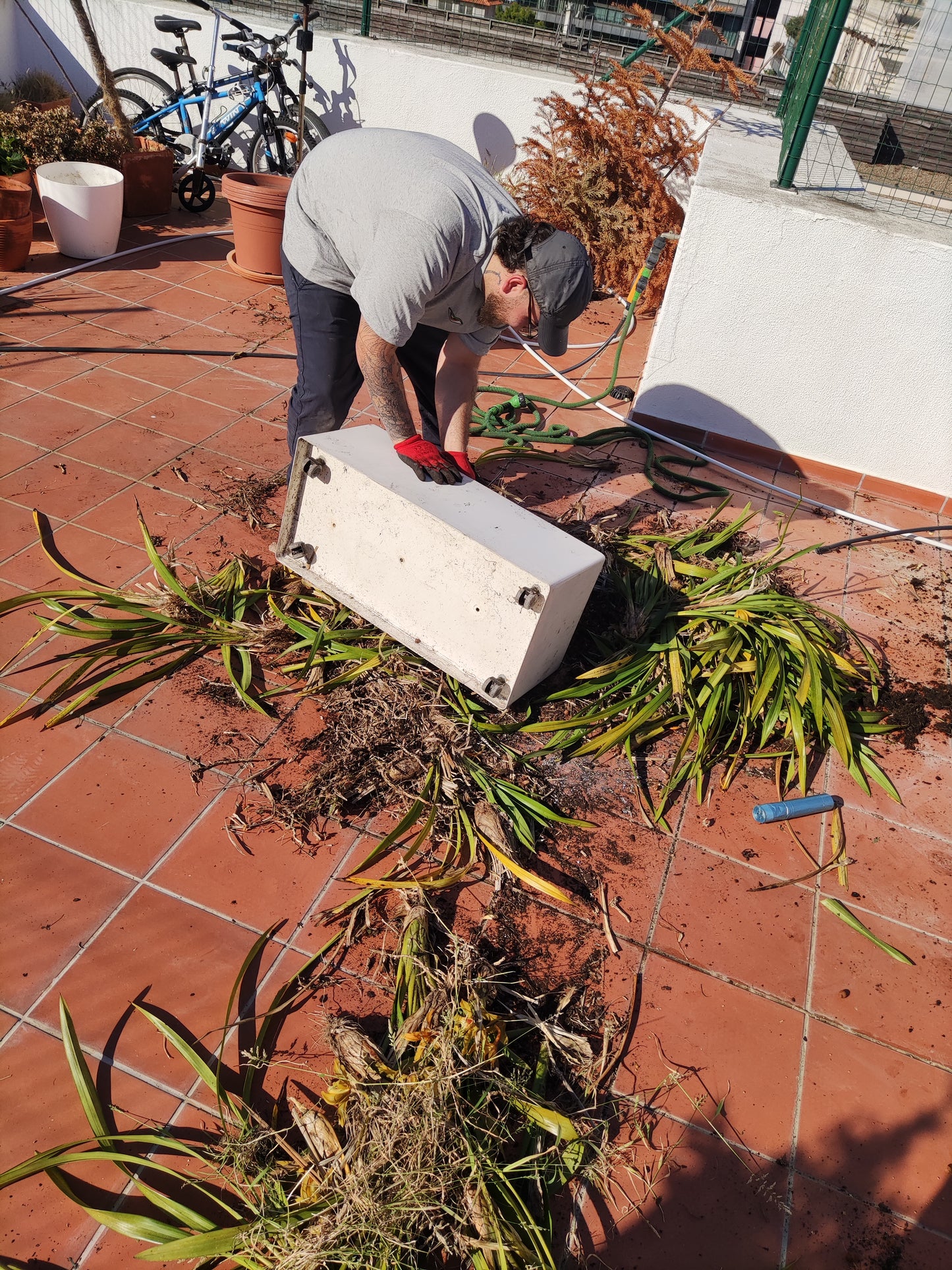 Reaproveitar Plantas em Terraço / Alcântara