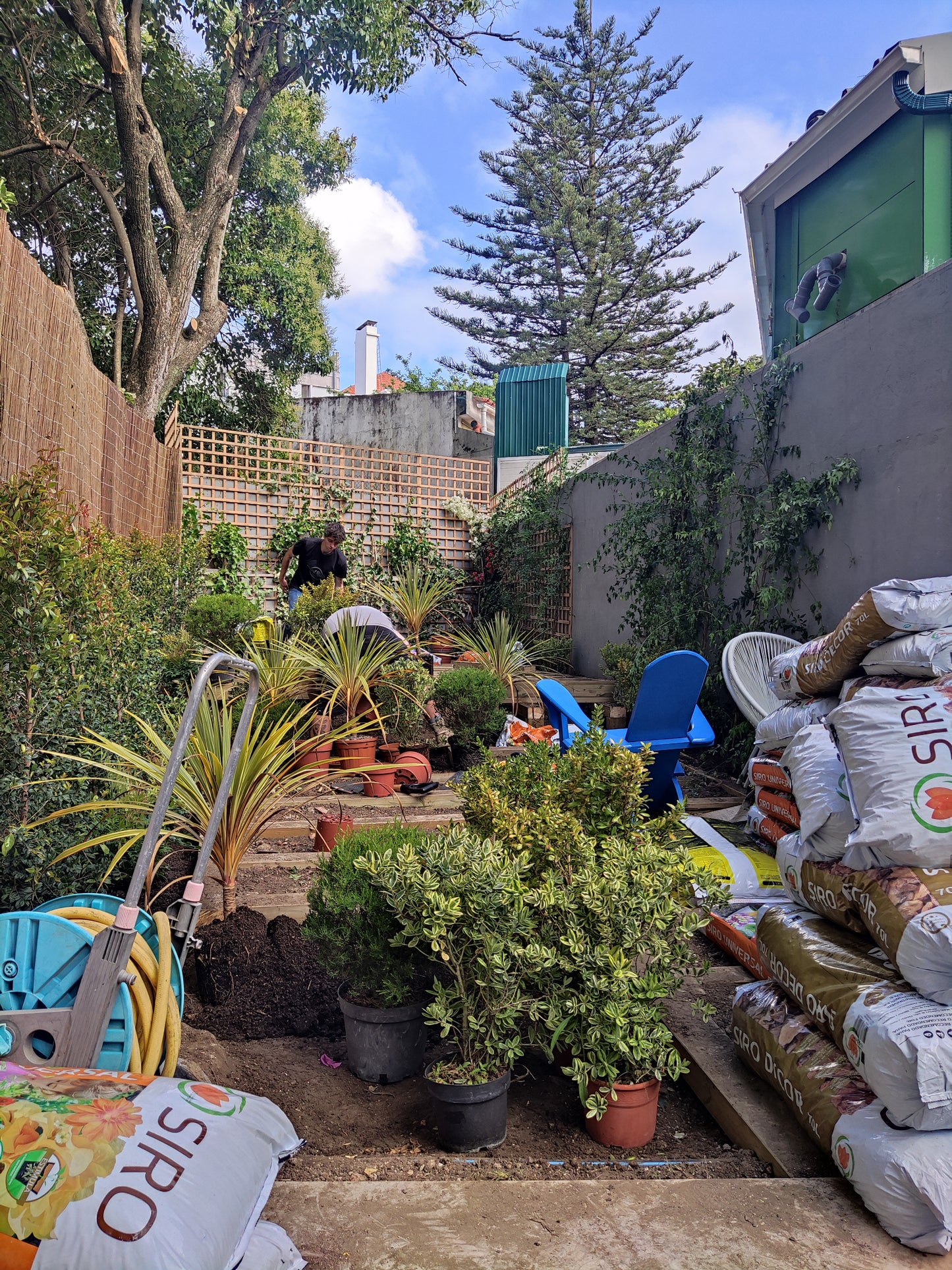Trazer o Campo para a Cidade / Saldanha