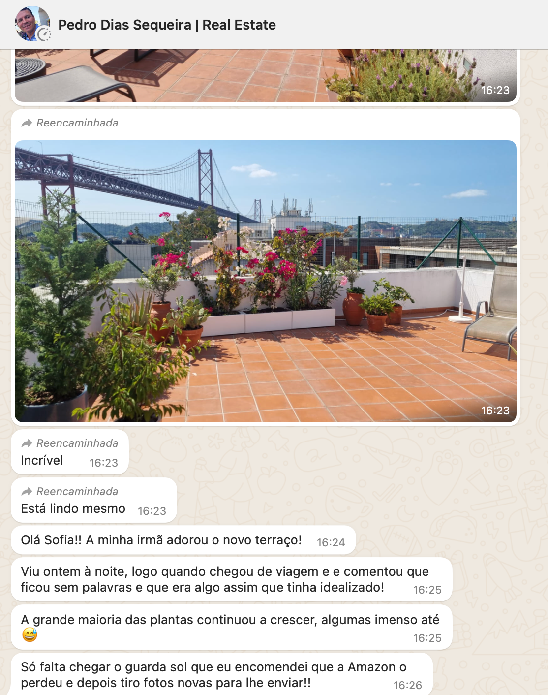 Reaproveitar Plantas em Terraço / Alcântara