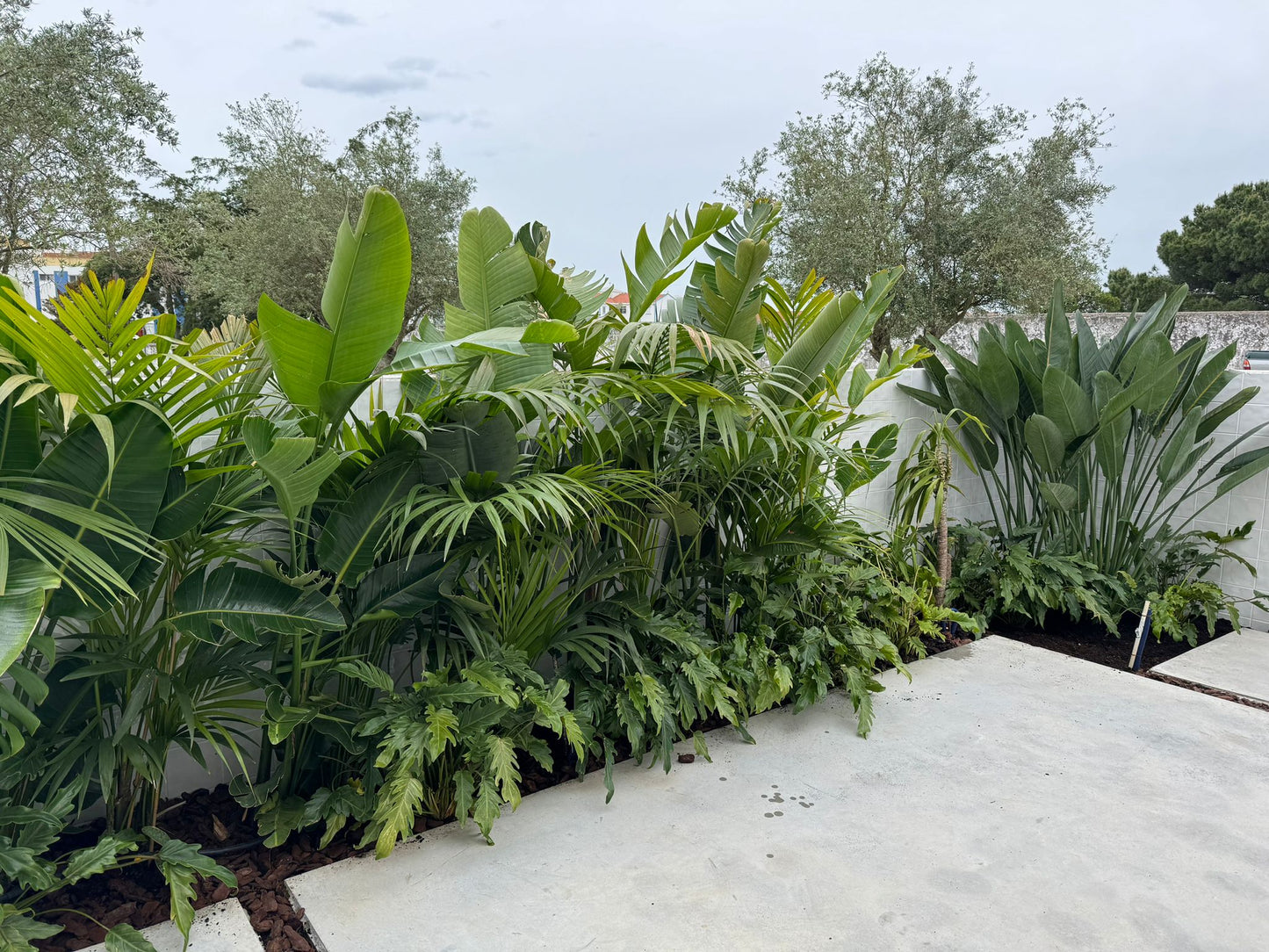 Jardim Tropical / Salvaterra de Magos