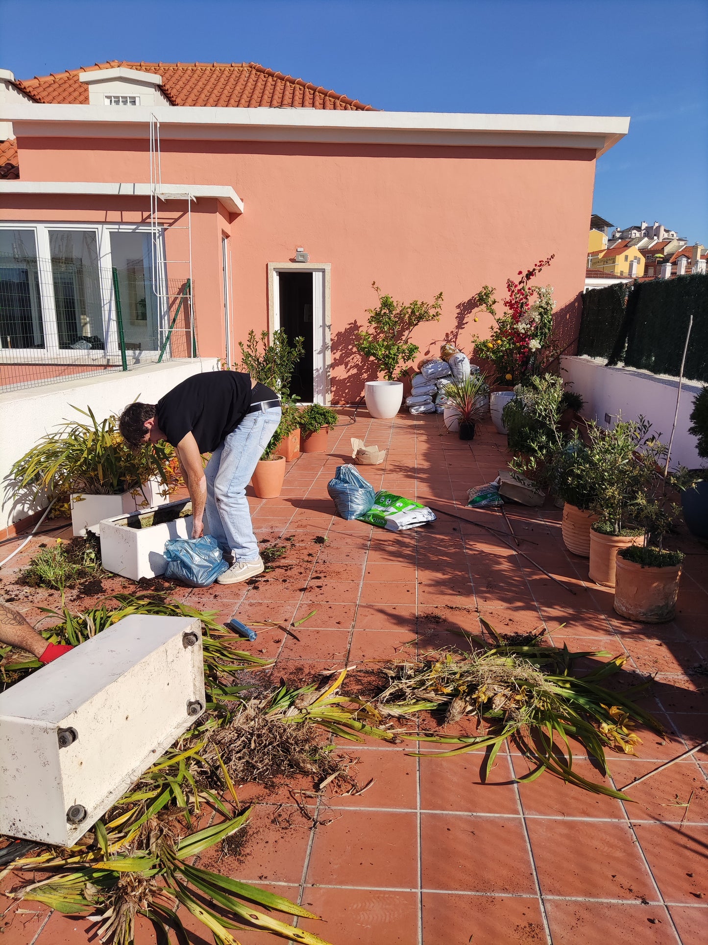 Reaproveitar Plantas em Terraço / Alcântara