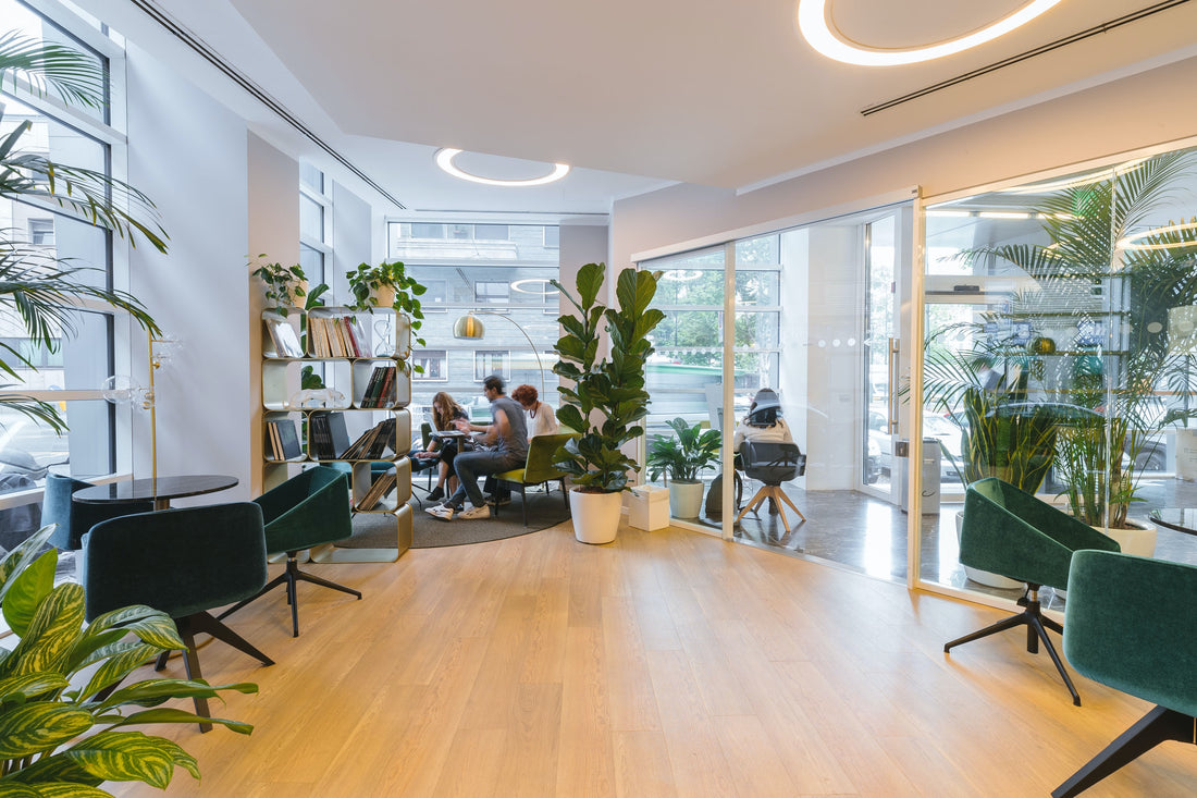 Biophilic Office Design