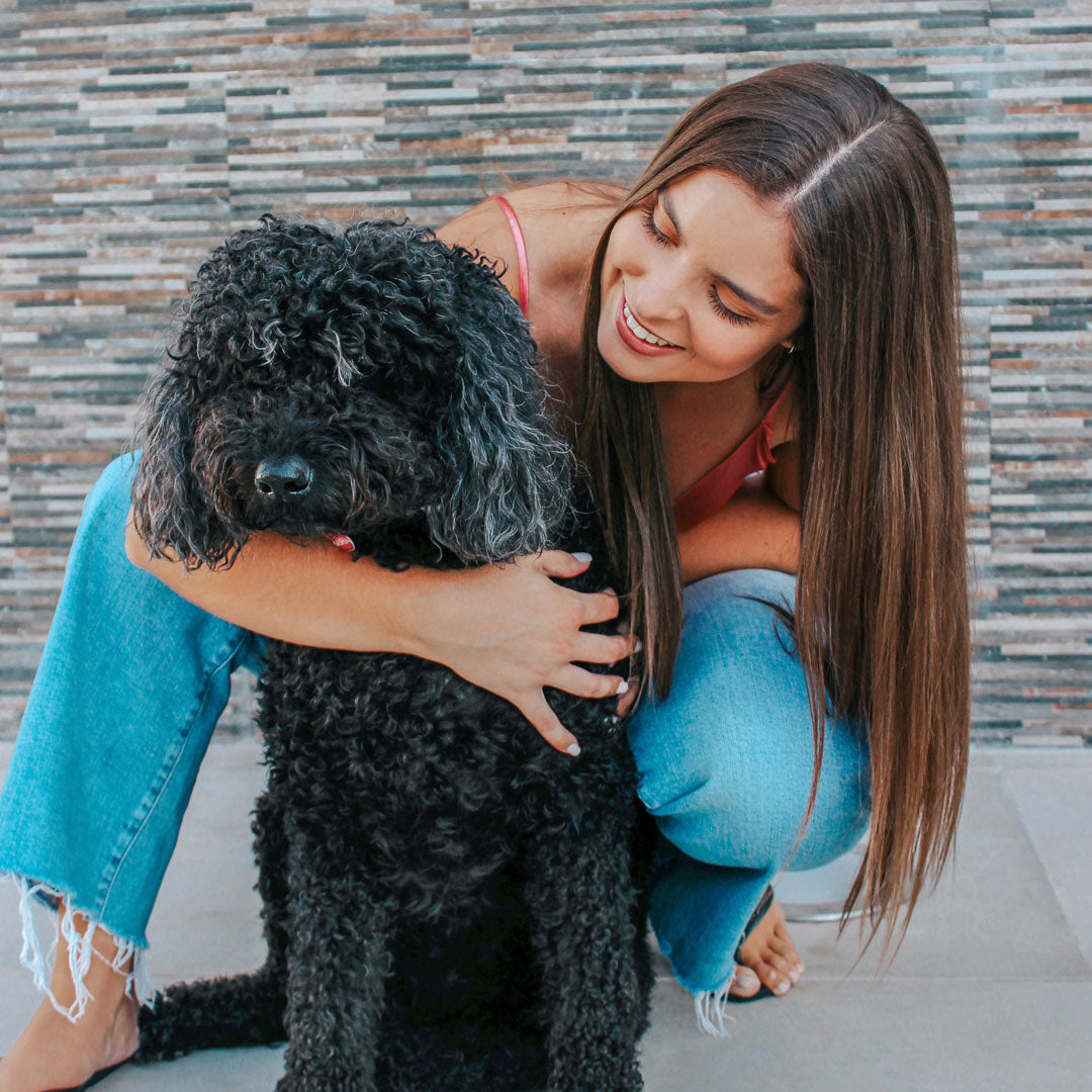 conversas com animais - curae pet friendly plantshop