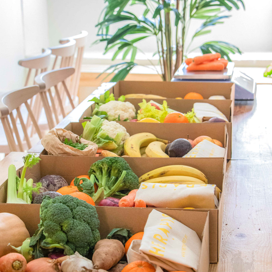 Curae_TheTherapist_Plants_Food