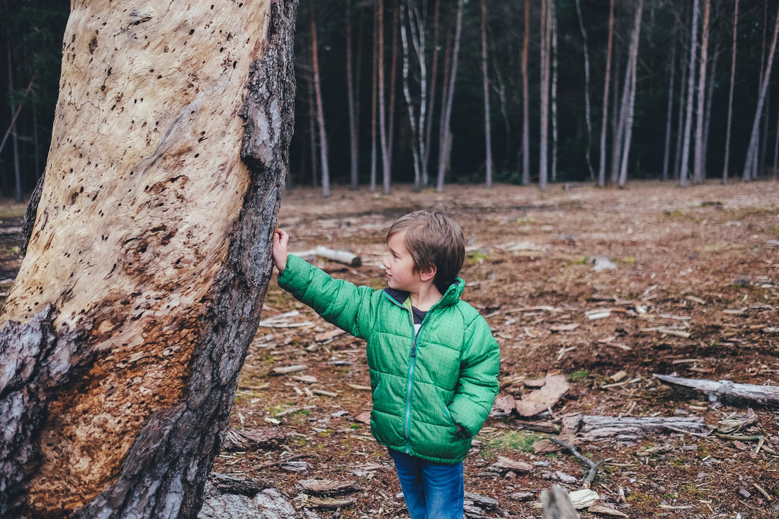 Children in Nature