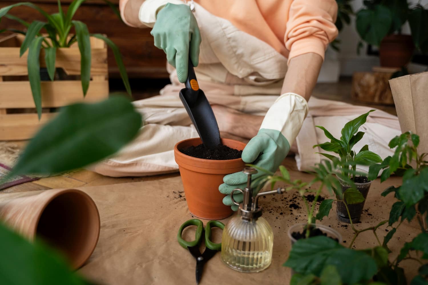 Guia de Manutenção de Plantas: Dicas Essenciais para Manter o Verde Vivo