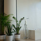 Showroom Verde na GROHE / Marvila