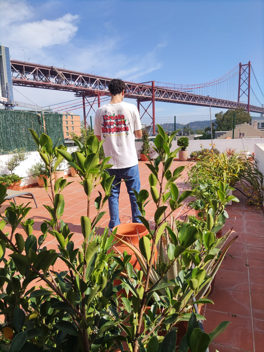 Reaproveitar Plantas em Terraço / Alcântara