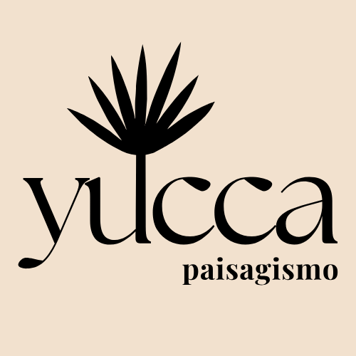 yucca